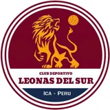 Club Deportivo Leonas del Sur